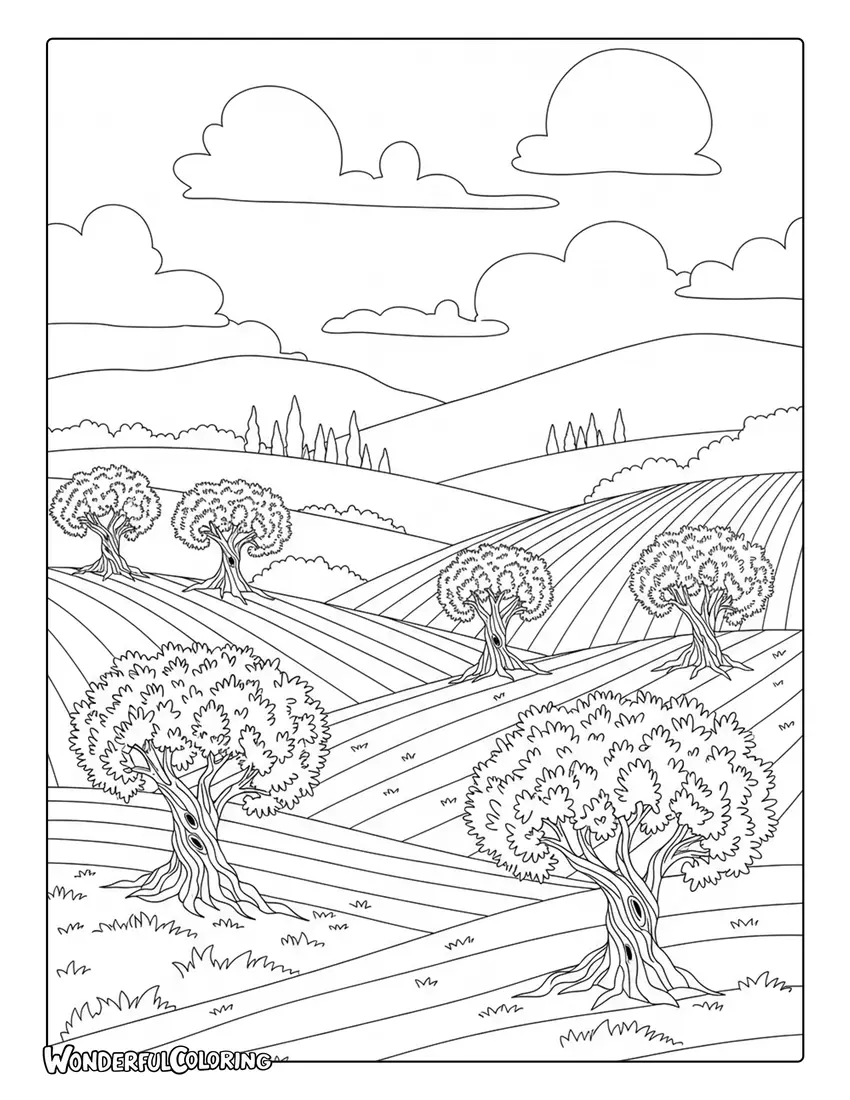 Athens olive grove landscape Greece coloring page with ancient trees and rolling hills