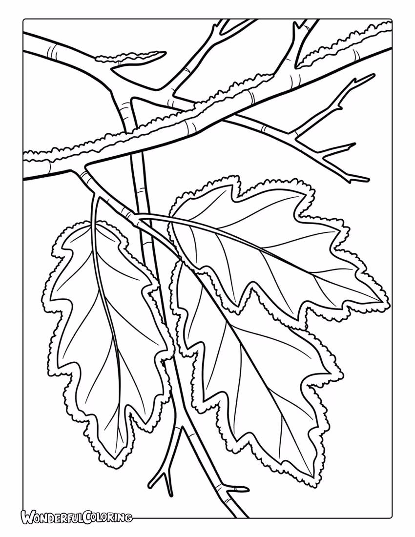 January frost nature coloring page with icy leaves and detailed winter textures