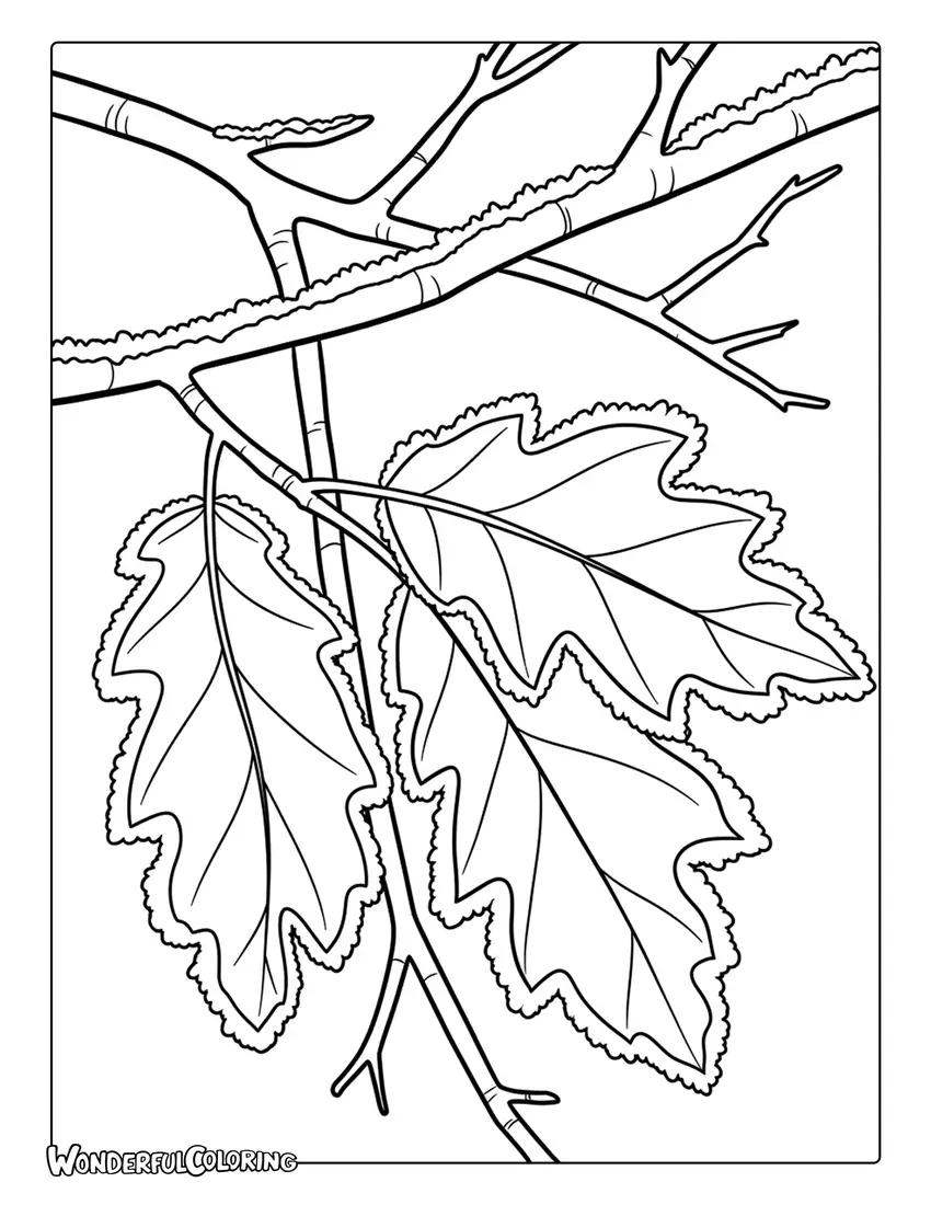 January frost nature coloring page with icy leaves and detailed winter textures