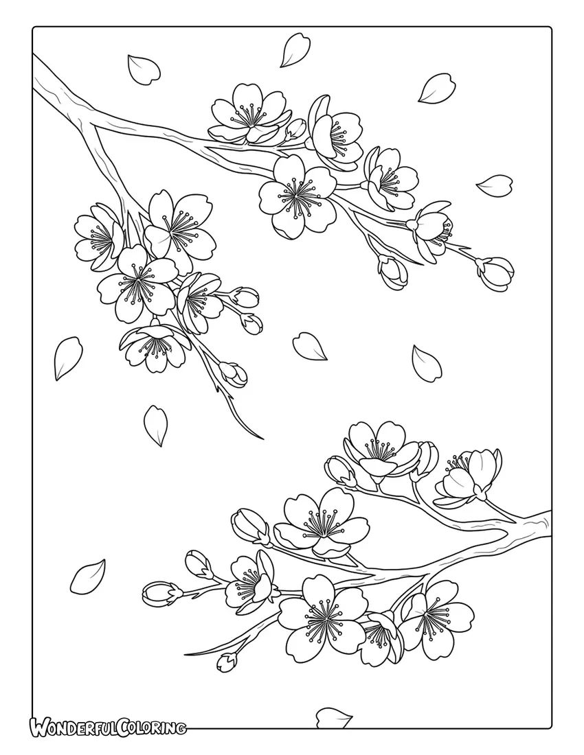 March cherry blossom branches with petals coloring page
