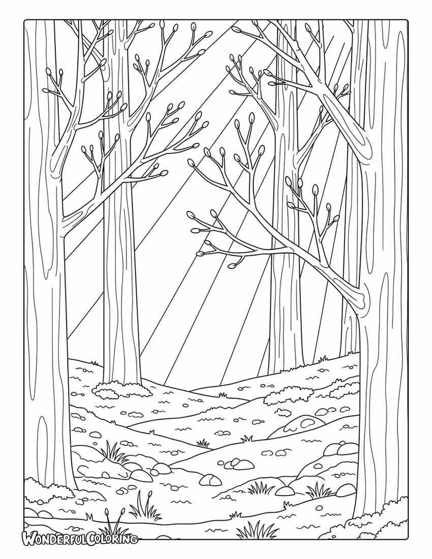 March woodland early spring forest coloring page