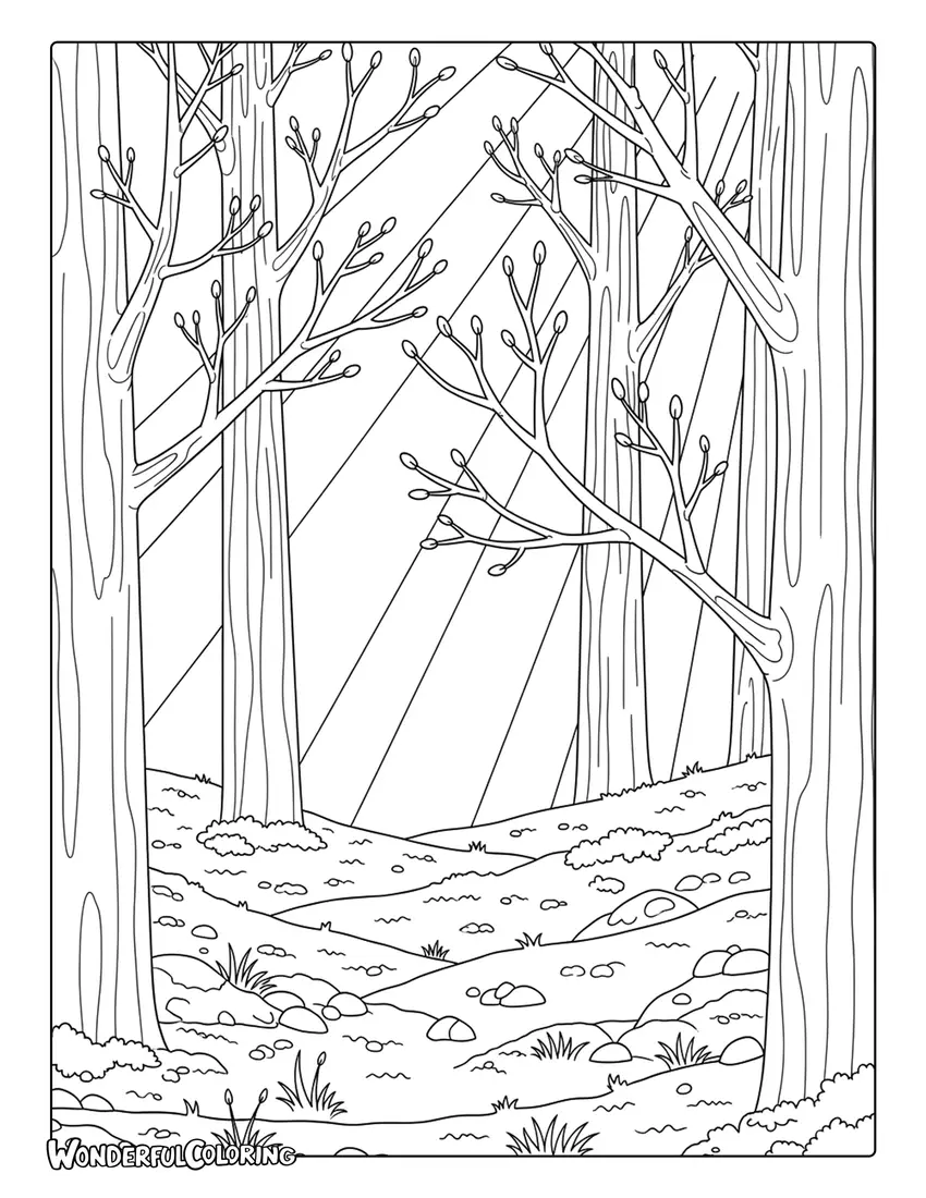 March woodland early spring forest coloring page