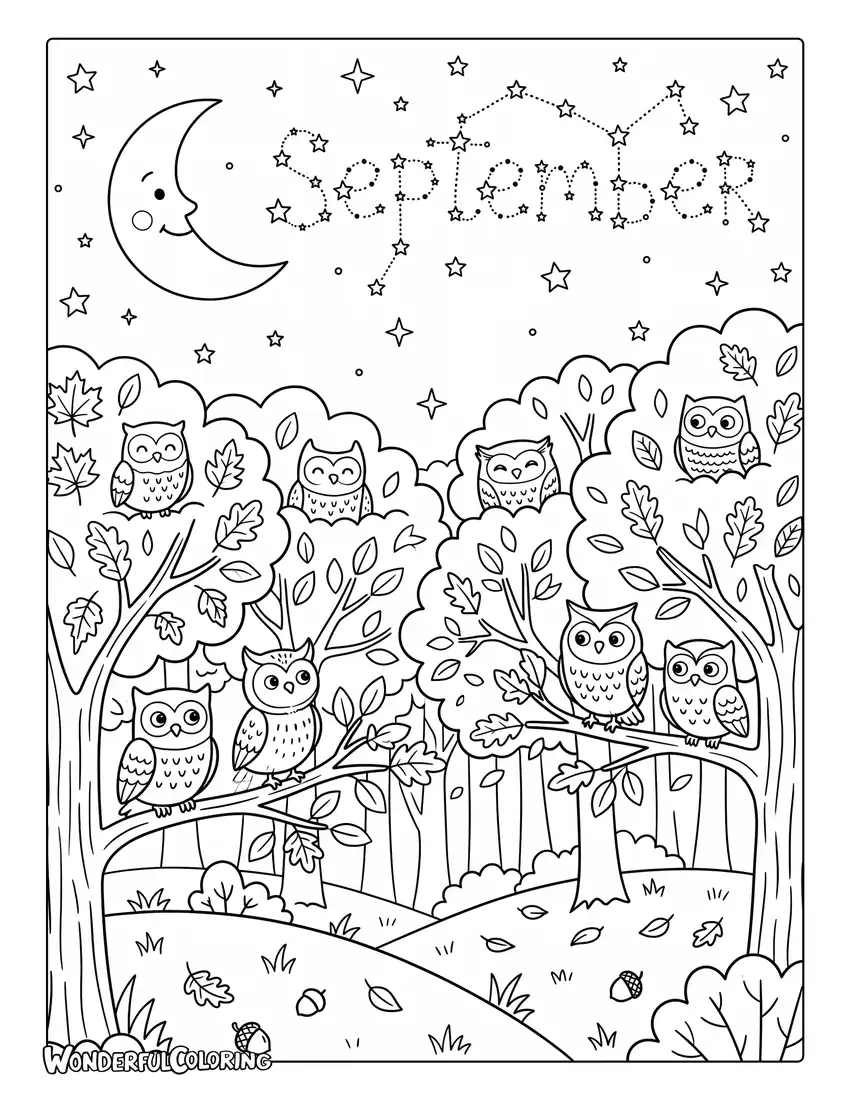 Magical night forest coloring page with crescent moon, owls, sparkling stars, and glowing trees